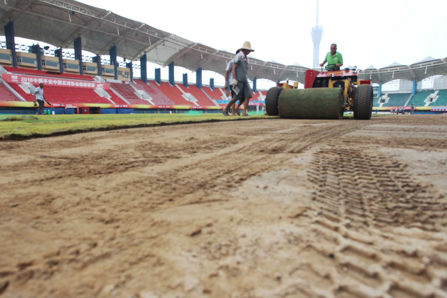 河南建业是不是换了草皮,河南建业草皮铺设