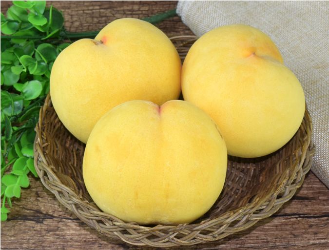 脆甜多汁的黄桃马上进入采摘季,锦绣黄桃罐头