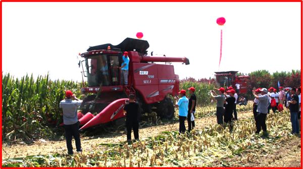 含水量40的玉米,农民家用玉米风干机器