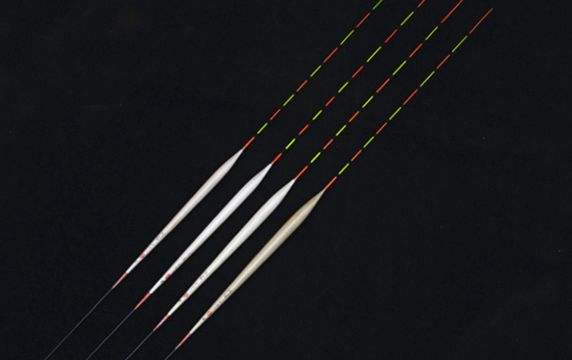 野钓鲤鱼为何一直不进窝,野钓鲤鱼在窝里冒泡为什么不开口