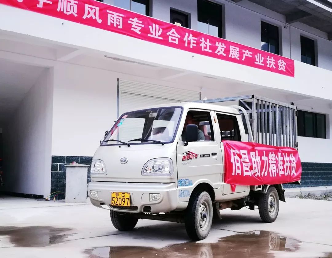 微新闻优秀作品,好风凭借力好雨知时节