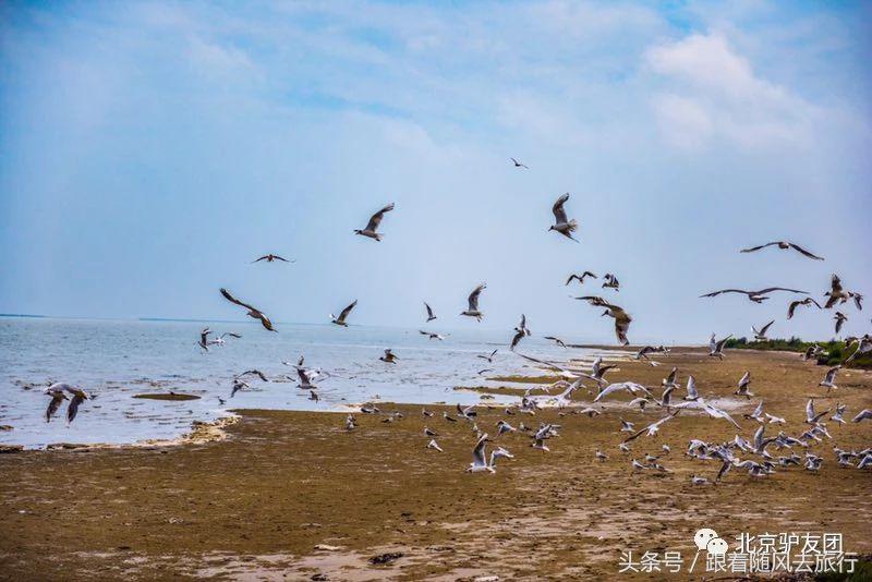 乐亭虹宇国旅月坨岛水上小木屋,月坨岛小木屋景色