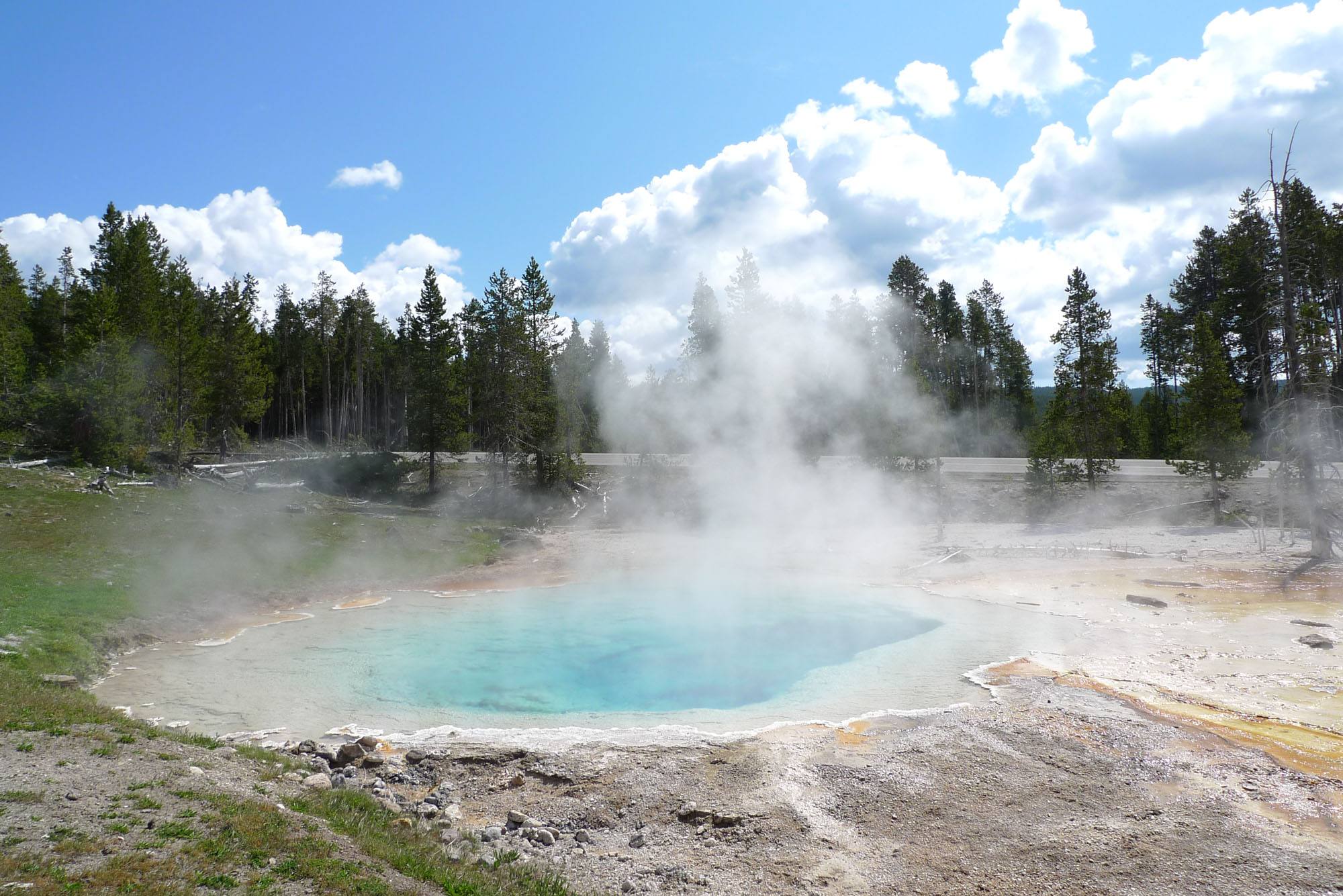 冈瑟四世的德牧,冈瑟四世狗的钱是哪来的