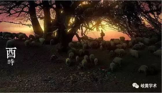 十二时辰养生法视频,十二时辰经络脏腑养生知识