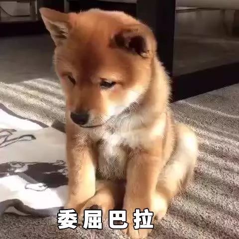 干洗店的心酸,洗衣店值得做吗