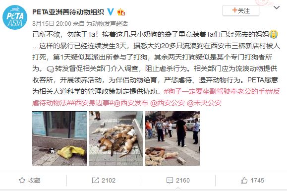 西安，一个跟狗较劲的城市？