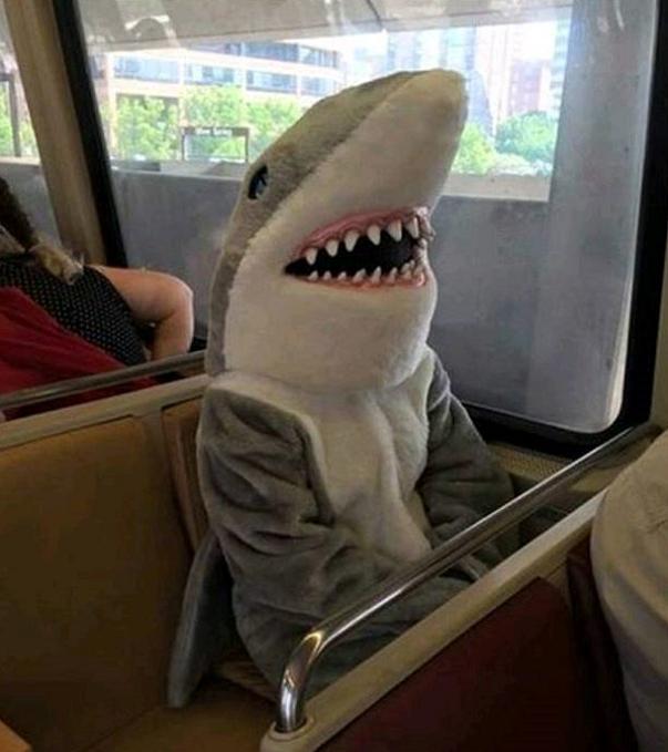 你吃太多，我背不动你咱家可是5楼，租吊车太贵