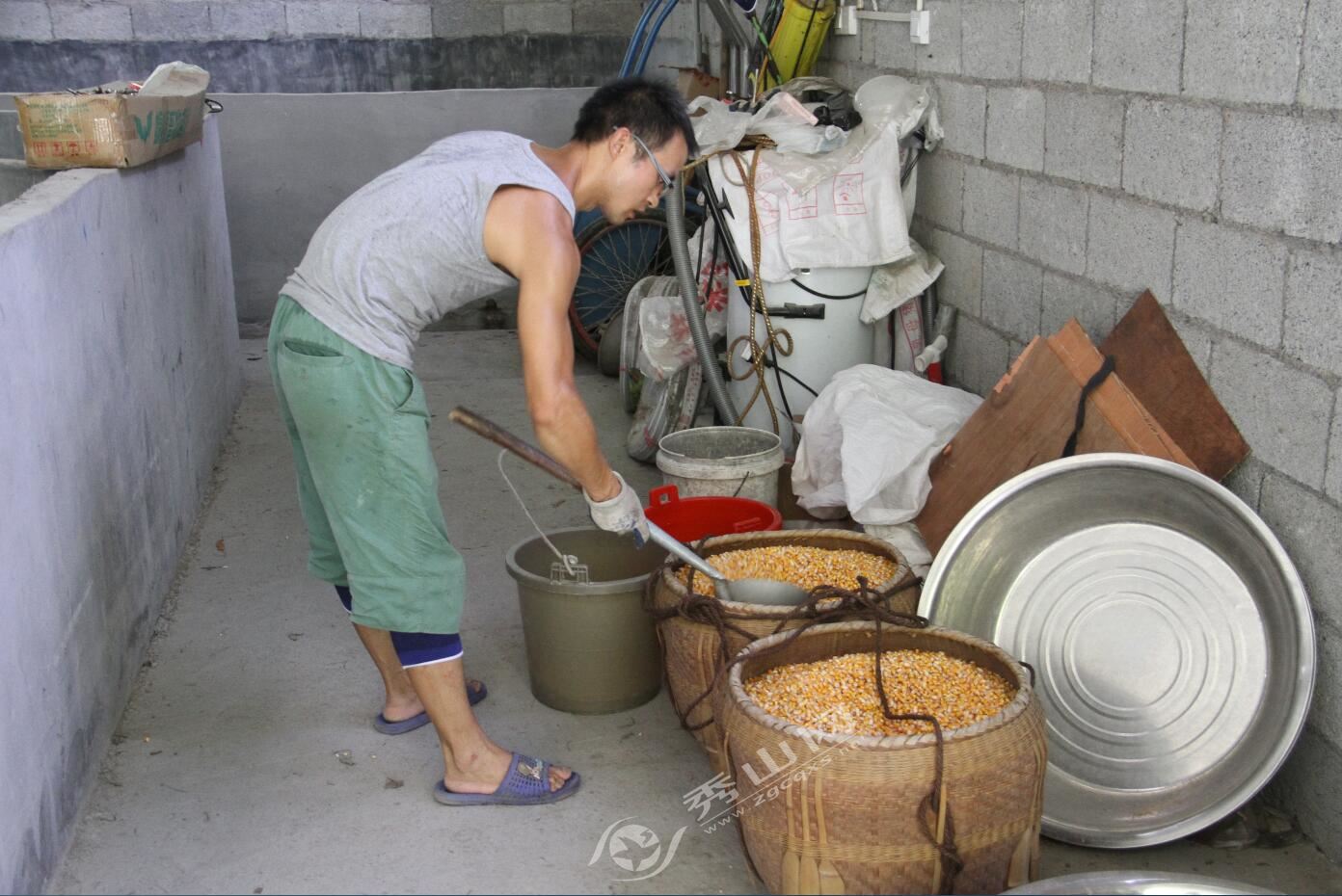 念好特色产业经奏响乡村富民曲,返乡创业致富养豪猪