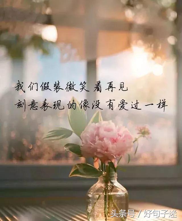 心灵鸡汤语录人生感悟励志短句,心灵鸡汤励志人生感悟语录简短