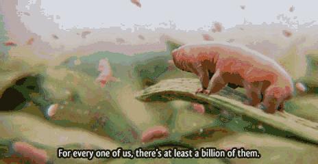 「科普生活」睡衣、床单多久洗一次？超过这个时间，百万螨虫细菌陪你睡