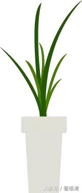 福清新消息,福清街心公园最新消息