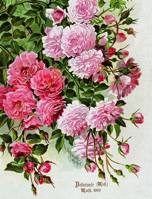 情人节想要给你永不褪色的浪漫,情人节送给彼此的浪漫