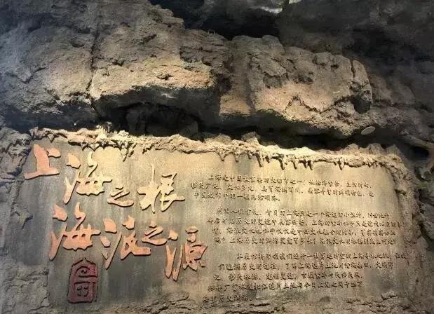 最美的书店在哪里,最美的书店在哪儿