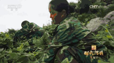 晨读一切都是最好的安排,真正的爱就是柴米油盐酱醋茶