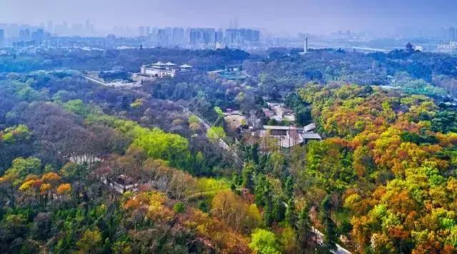 庆祝改革开放40周年邮册,改革开放40周年光荣册