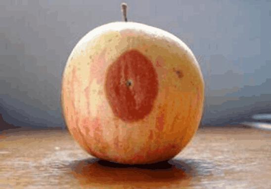 坏了一点的水果还能吃吗,水果坏了一小点切掉剩下的能吃吗