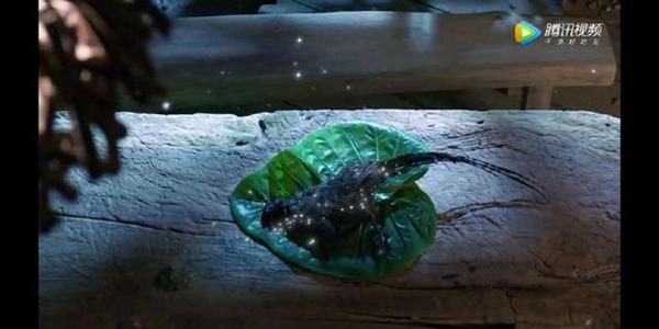 香蜜旭凤被赶出天界,香蜜锦觅旭凤被控制