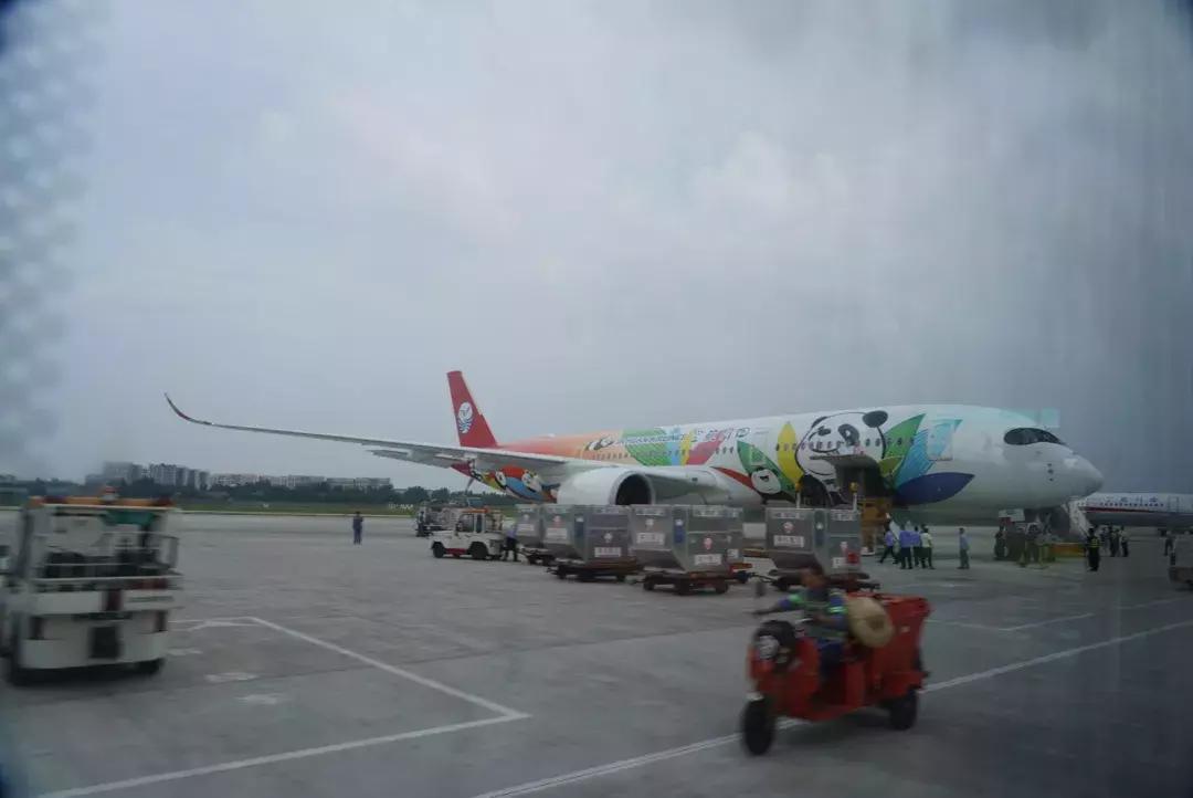 四川航空a350有超级经济舱吗,四川航空a330经济舱乘坐体验