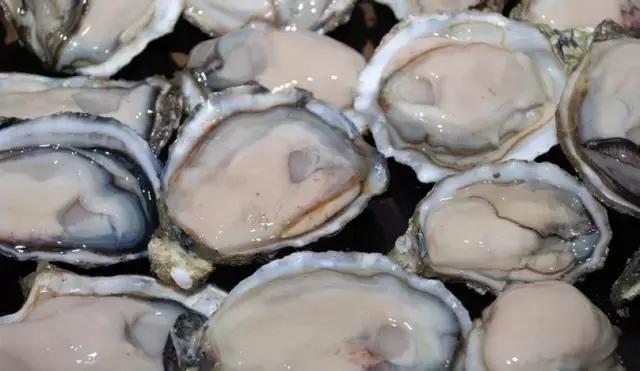 海南的鱼类大全,海南鱼类大全图片