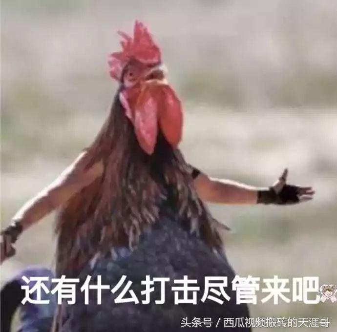 自从迷上*戏调**某宝客服后，我不会说话的毛病就被治好了