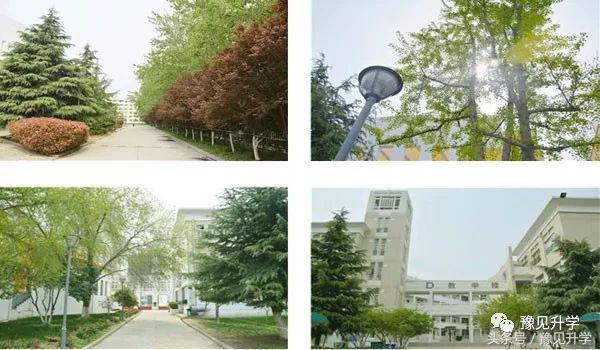 2020年郑中国际学校,河南郑州郑中国际学校