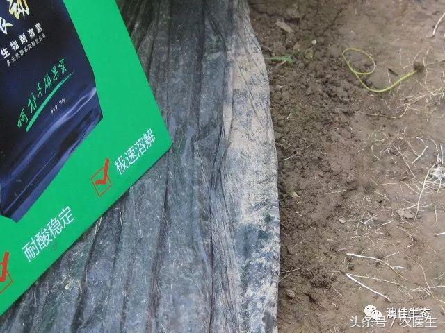 改善土壤板结专用药,专治土壤板结硬化酸化重茬