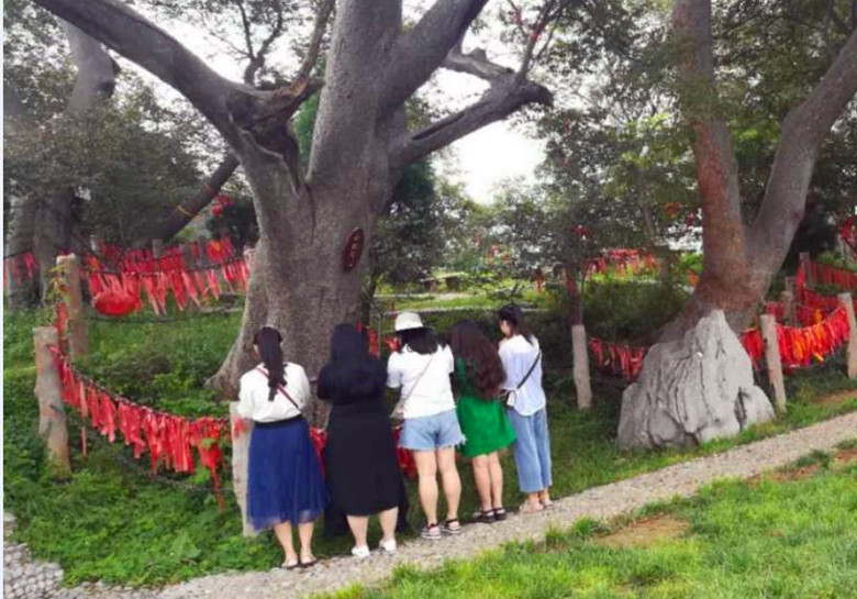 焦作现代医院：中国爱情第一村祈愿祝福点亮七夕