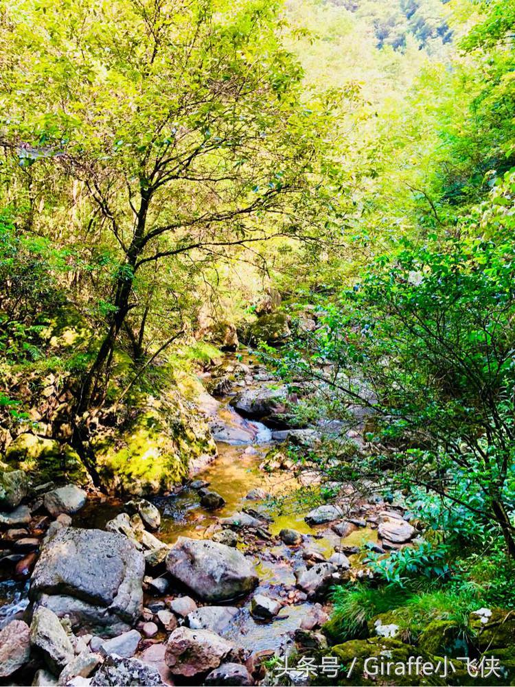 浙西深山里的小众秘境,隐匿在浙西大山里的绝美去处