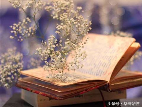 考研六个坚持口诀,考研6战经历感悟