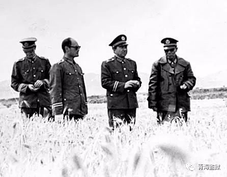 扎根乡村无怨无悔,扎根青藏高原