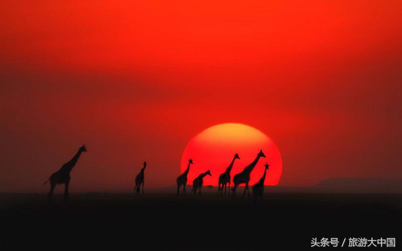 非洲猪瘟竟源于“地球伤疤”大裂谷：这儿一夫多妻，可怕少女割礼