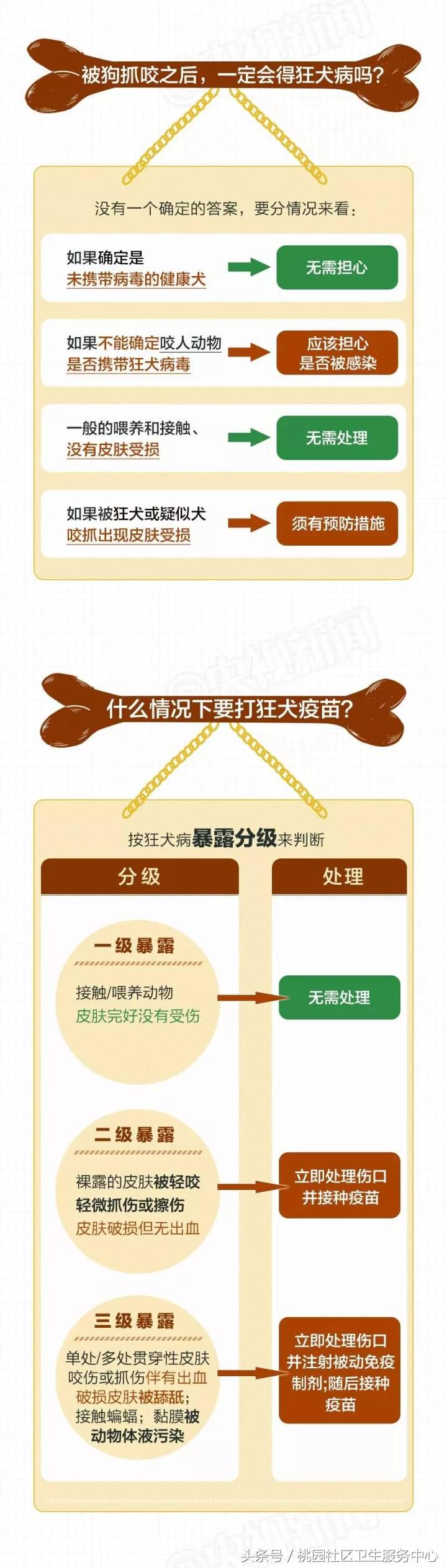 被狂犬病的狗咬伤得病的几率多大,被狗抓伤如何预防狂犬病