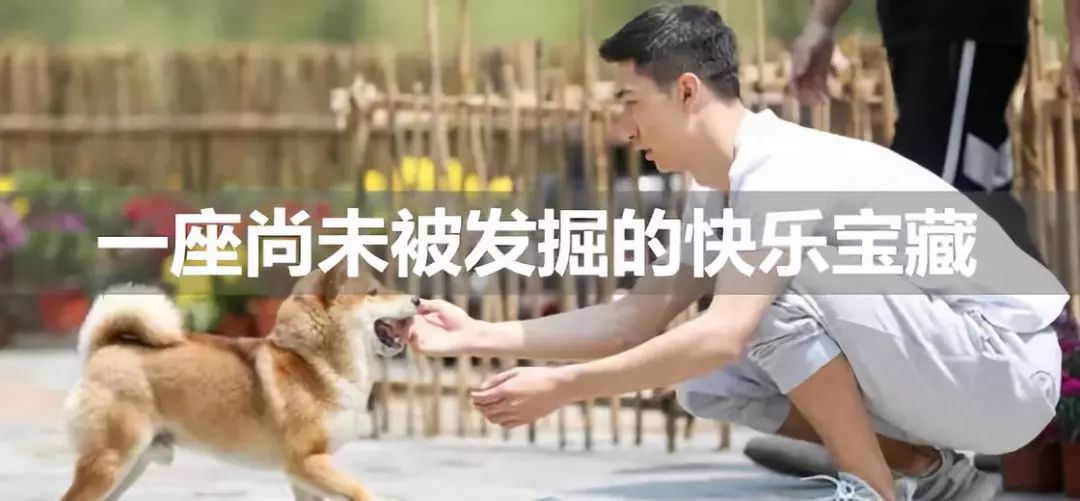 陈劲松工银国际,又爱又恨的超市