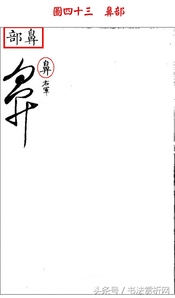 书法欣赏草书名家作品赏析,历代草书名家草体总汇之六