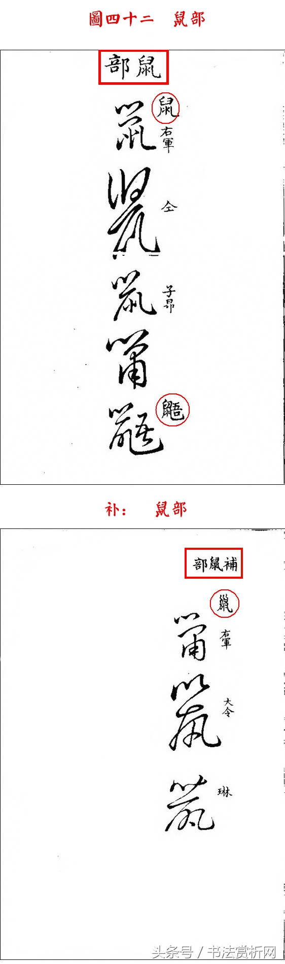 书法欣赏草书名家作品赏析,历代草书名家草体总汇之六