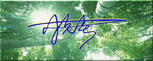 051期：目前已经制作了一千三百多个姓名大家找一下