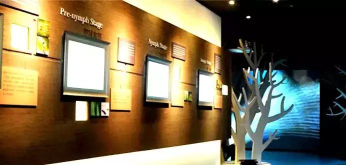 十年被骗走六千万,十年亏了500万