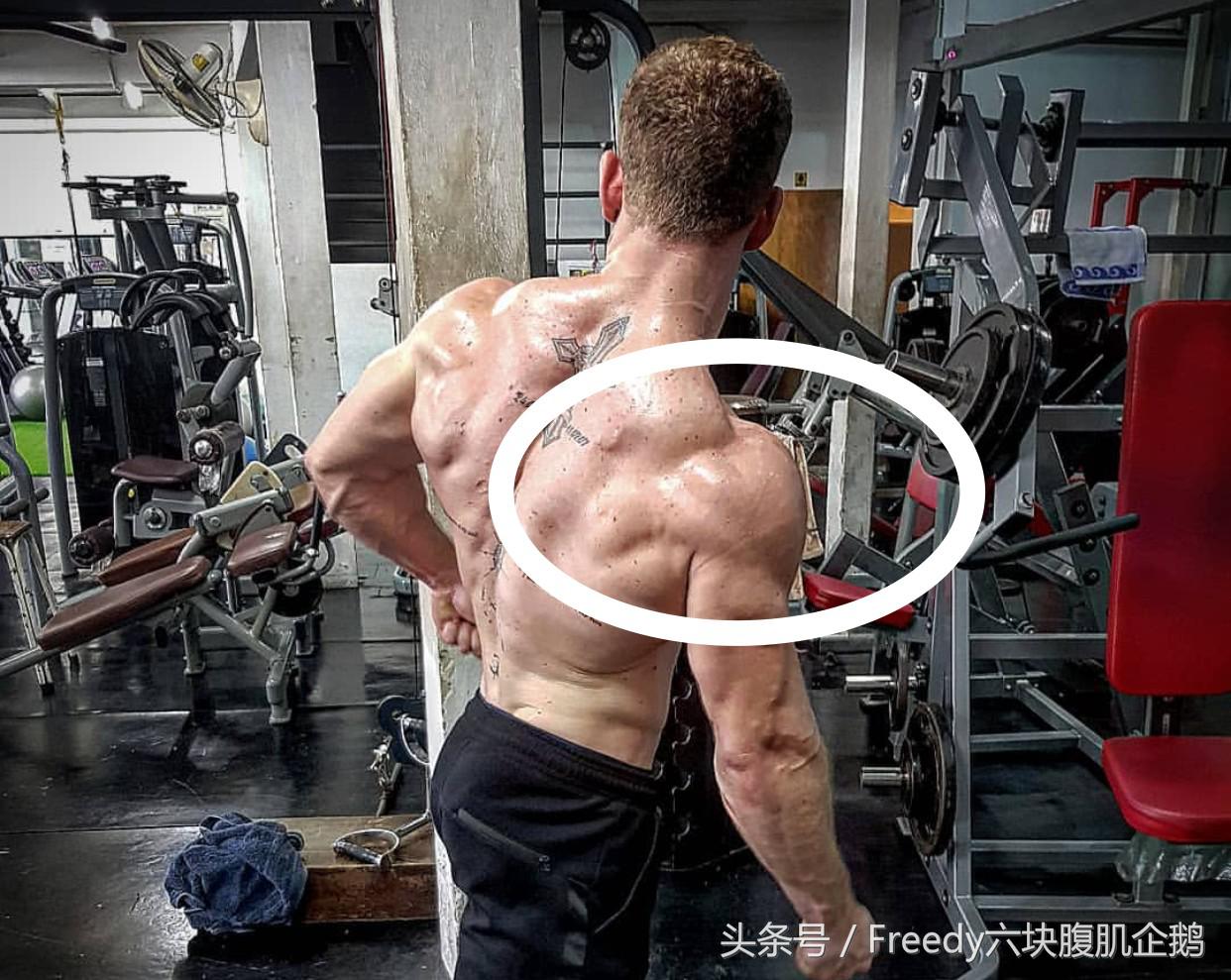 三角肌前束怎么练都练不出饱满,三角肌后束怎么练呢