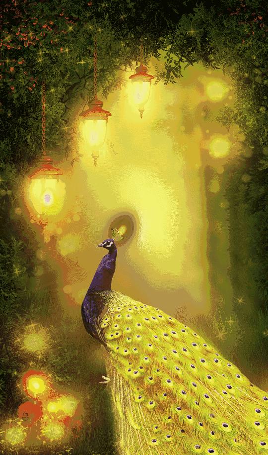 会动的漂亮图片,会动的图片十张