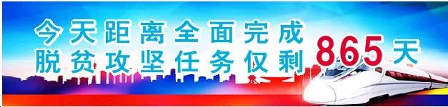 今生广种橄榄树，来世还做陇南人！