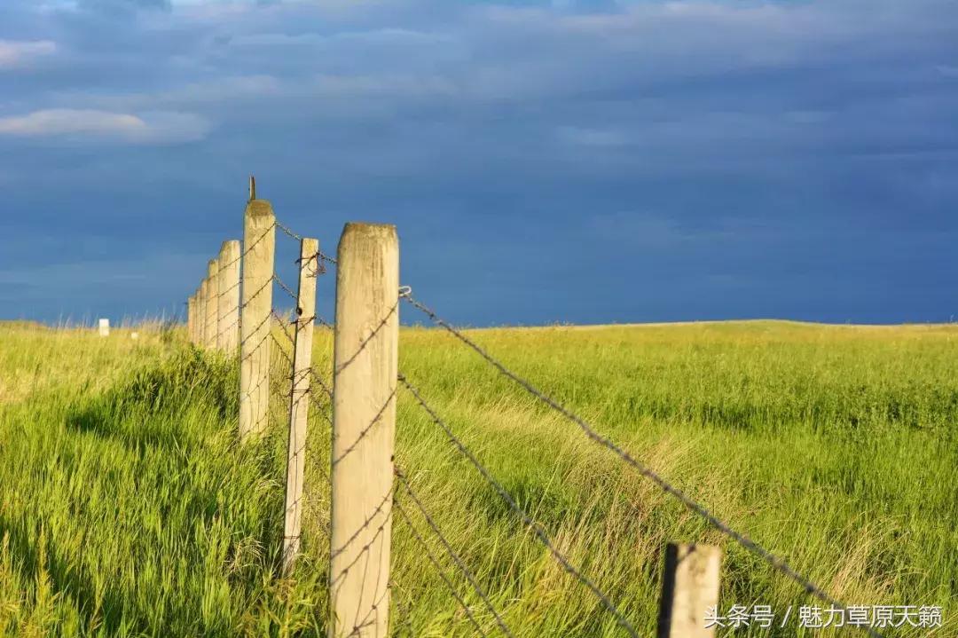 一座去了不想走的城市成都,一座去了还想去的城