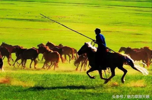 一座去了不想走的城市成都,一座去了还想去的城