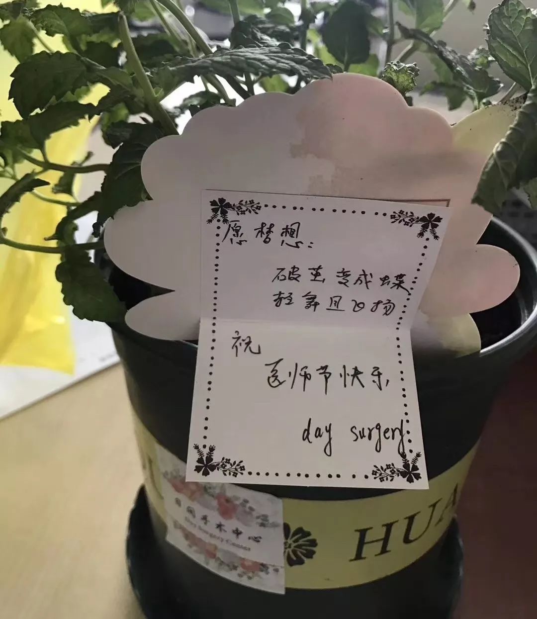 一首爱的奉献送给家人们,一首爱的奉献送给我的白衣天使们