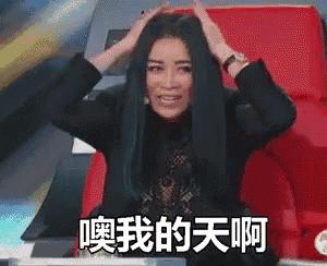 lvcoach,lvcoach双肩包