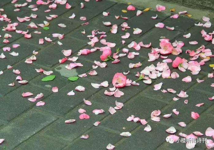 唐寅落花诗17首,唐寅落花诗三十首