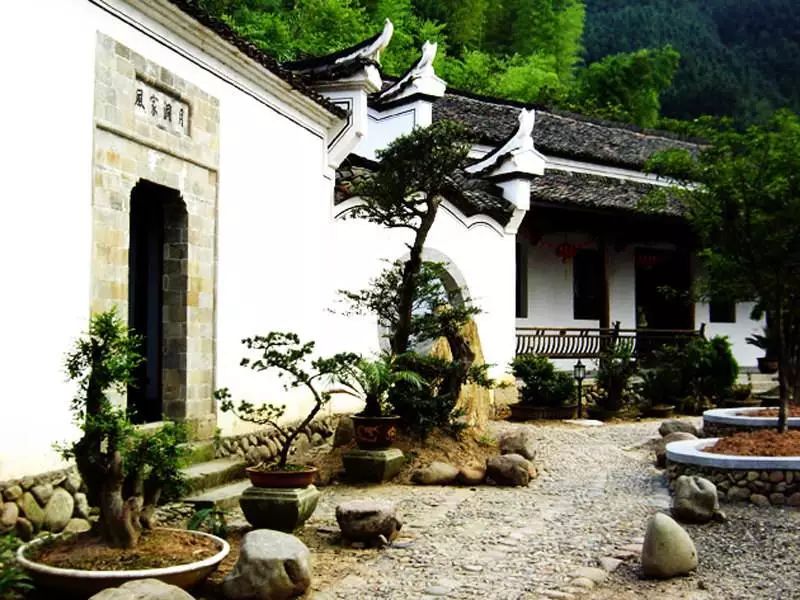 丽水遂昌市区,在丽水的遂昌