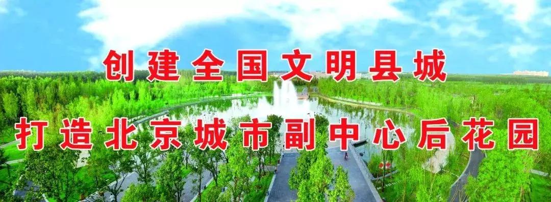 县长杯比赛,大厂县第五届县长杯足球比赛