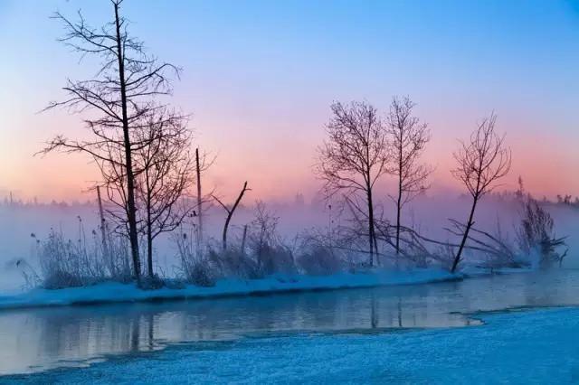 全国各地食用土特产有哪些,全国各地家乡的特产及用途