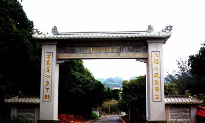 深圳失去双臂,深圳现状是什么