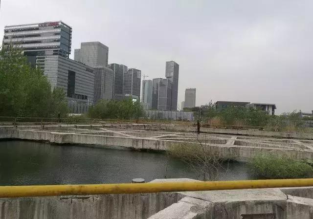 张近东和苏宁现状,张近东说苏宁小店烧钱100亿视频